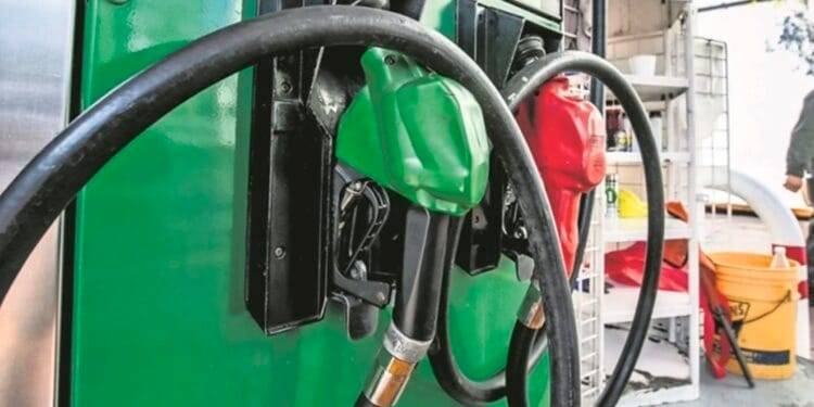 Esta semana no pagaremos IEPS en la gasolina regular; hay un subsidio de 100%: Profeco