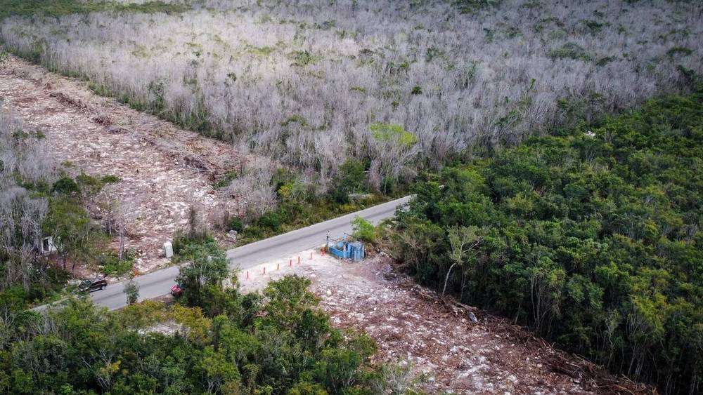 Frenan Obras Del Tramo Del Tren Maya Por Da Os Ambientales Hora