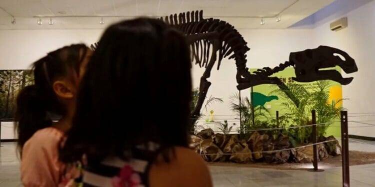 Museos de Coahuila recibieron a más de 9 mil visitantes este verano