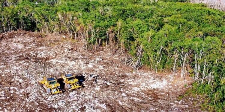 Expropia AMLO 36 inmuebles para Tren Maya
