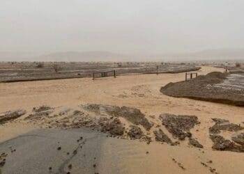La inundación en el Valle de la Muerte, un evento que puede ocurrir «una vez cada mil años»
