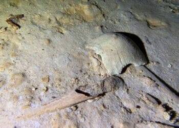 Tren Maya: Encuentran esqueleto prehistórico de 8 mil años en un cenote cercano a la ruta