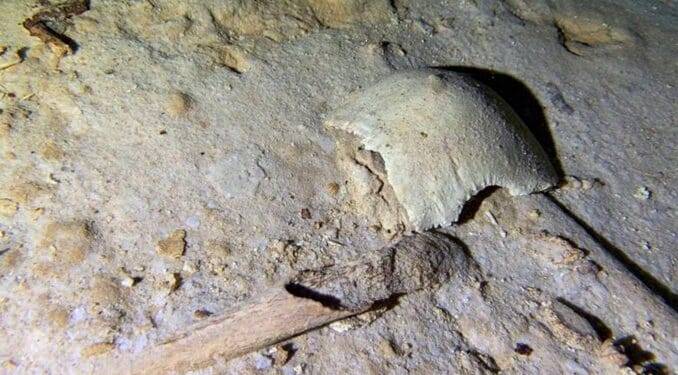 Tren Maya: Encuentran esqueleto prehistórico de 8 mil años en un cenote cercano a la ruta