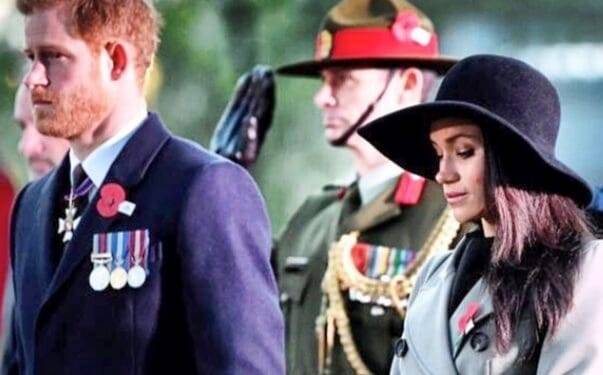 ¡Es el único igual a su madre!: El príncipe Harry acarició a un perrito durante actos en honor a la reina Isabel