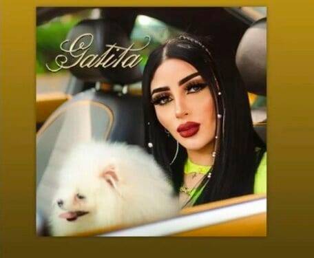 Regresa “Gatita” de Bellakath a Spotify tras polémica por plagio