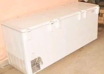 Hallan cuerpos de niños al interior de un congelador en Boston