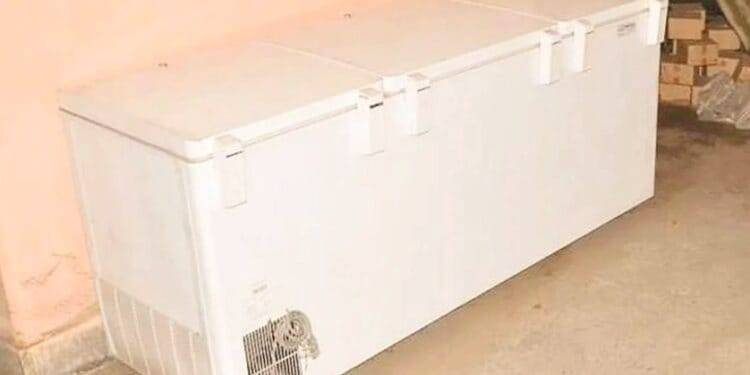 Hallan cuerpos de niños al interior de un congelador en Boston