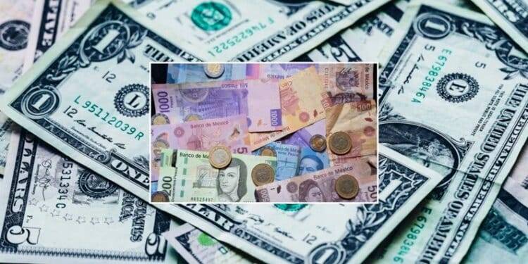 ¡A 19 pesos! Precio del dólar frente al superpeso este 16 de marzo