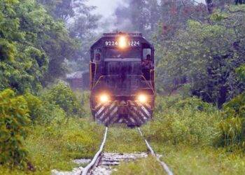 Tren Maya: Conceden suspensión definitiva para frenar desmonte y tala en Tramos 3, 4, 5 Norte y 6