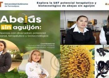 Explora la UAT potencial terapéutico y biotecnológico de abejas sin aguijón