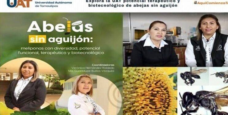 Explora la UAT potencial terapéutico y biotecnológico de abejas sin aguijón