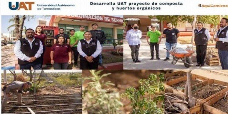Desarrolla UAT proyecto de composta y huertos orgánicos