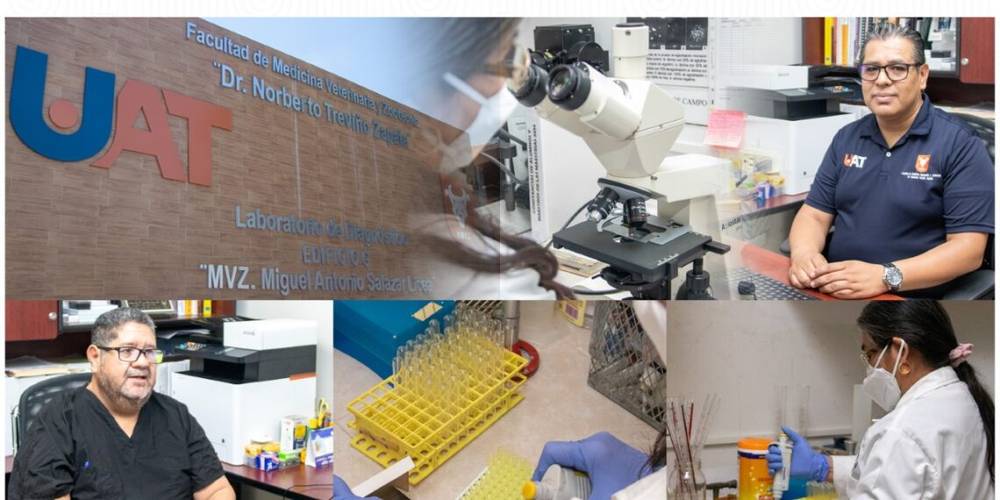 Analizan bacteria que afecta a los perros y que puede trasmitirse al ser humano