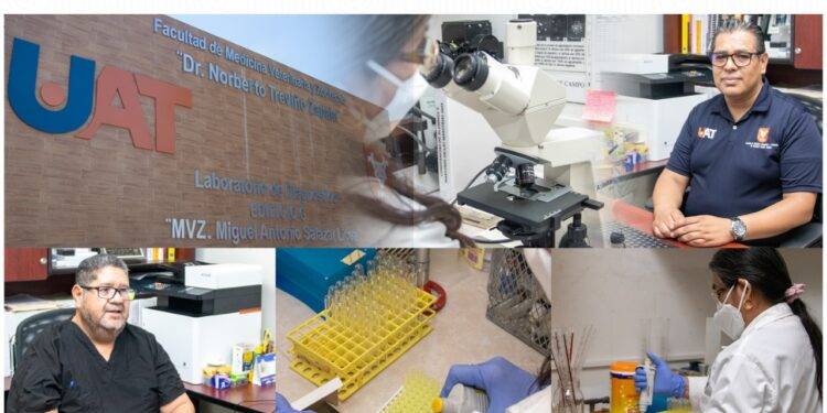 Analizan bacteria que afecta a los perros y que puede trasmitirse al ser humano