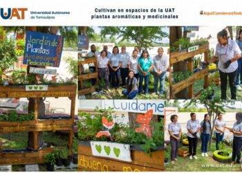 Cultivan en espacios de la UAT plantas aromáticas y medicinales