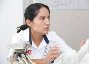 Descubren especies de hormigas de importancia para la criminalística