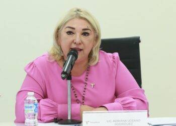 Llegan a Tamaulipas 710 MDP para pavimentación: Adriana Lozano