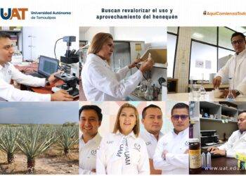 Buscan revalorizar el uso y aprovechamiento integral del henequén