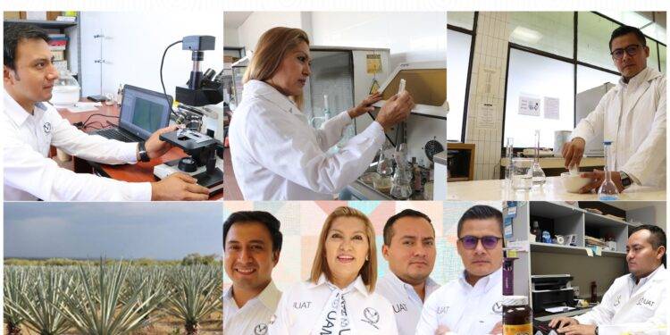 Buscan revalorizar el uso y aprovechamiento integral del henequén