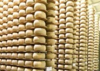 Muere un hombre de 74 años en Italia tras quedar sepultado por más de 15 mil quesos