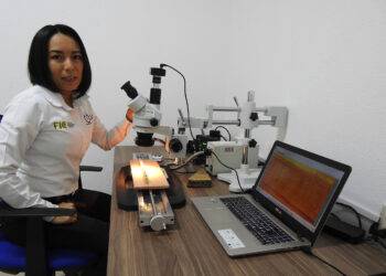 Analiza la UAT patrones de lluvia y efectos del cambio climático en pinos piñoneros