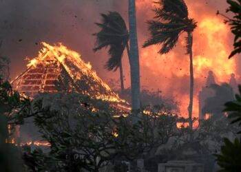 Dan asistencia a familias de mexicanos fallecidos durante incendios en Maui, Hawái