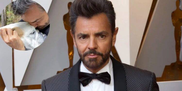 “El dolor que hoy siento es inmenso”: así fue el homenaje de Eugenio Derbez a su perrita Fiona tras su partida