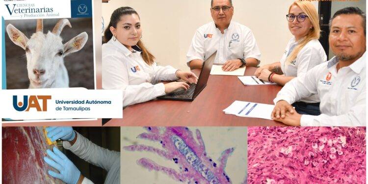 La UAT lanza la primera edición de la revista Ciencias Veterinarias y Producción Animal