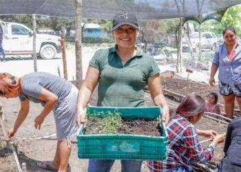 Beneficia DIF Tamaulipas a familias del municipio de Ocampo con el curso “Huerto Familiar”