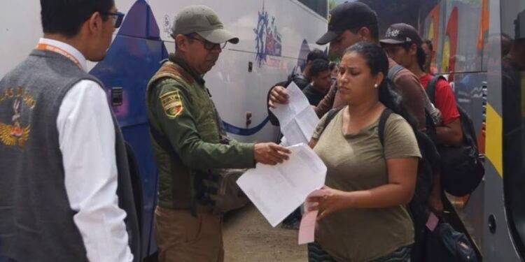 Volcadura deja 18 muertos en carretera Oaxaca-CDMX, a la altura de Cuacnopalan