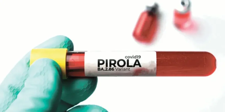 Pirola, la nueva variante de Covid-19 que podría dominar este invierno