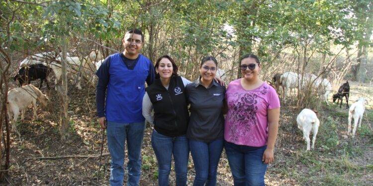 Analiza UAT innovaciones de mejoramiento para la producción  caprina