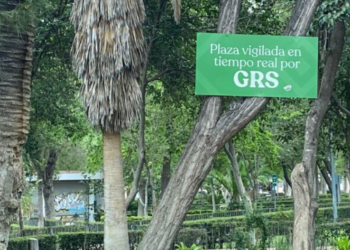 Refuerzan vigilancia en la Alameda