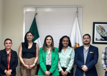 Construirán ICAI y Sefirc plataforma digital de transparencia