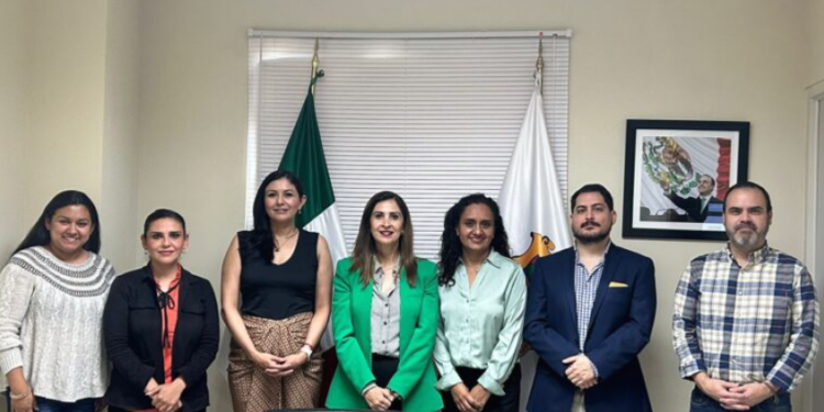 Construirán ICAI y Sefirc plataforma digital de transparencia