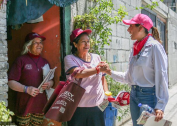 Destaca Cecilia Guadiana la importancia del tema de seguridad pública