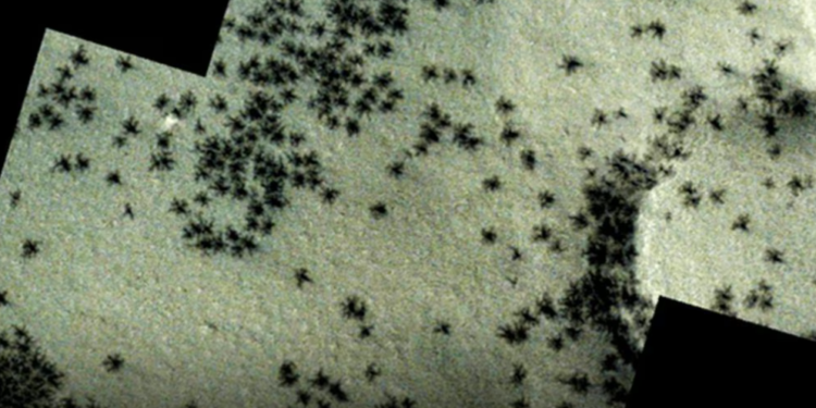 ¿Arañas negras en Marte? El inquietante hallazgo de la Agencia Espacial Europea