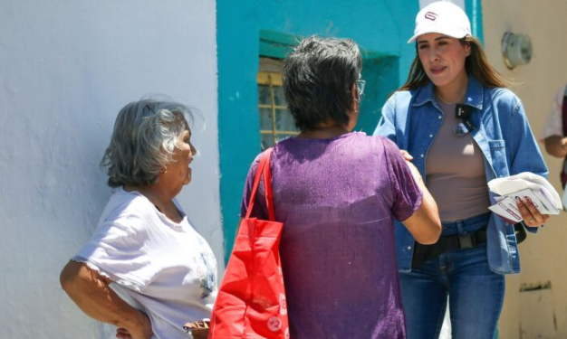 Buscará Cecilia Guadiana apostarle a las energías reno