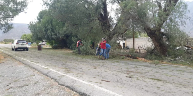 Tromba azota Cuatro Ciénegas