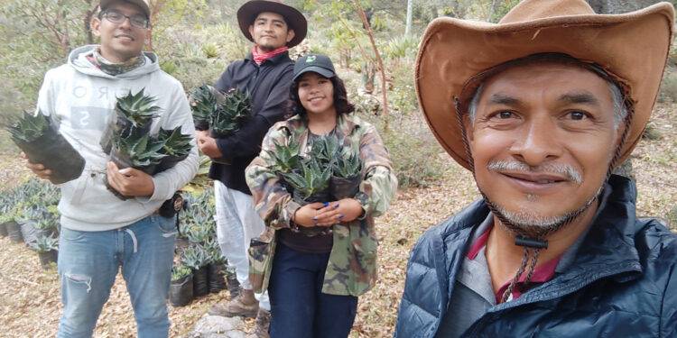 Busca la UAT preservar la genética de especies de maguey