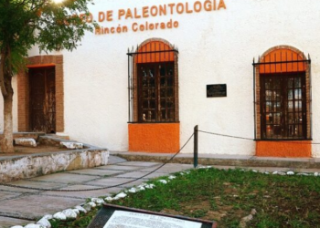 Promueve INAH turismo paleontológico