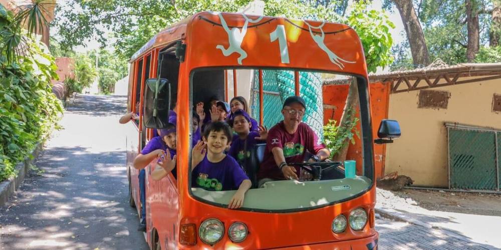 Forman cursos de verano una mejor sociedad desde la infancia: CPBT