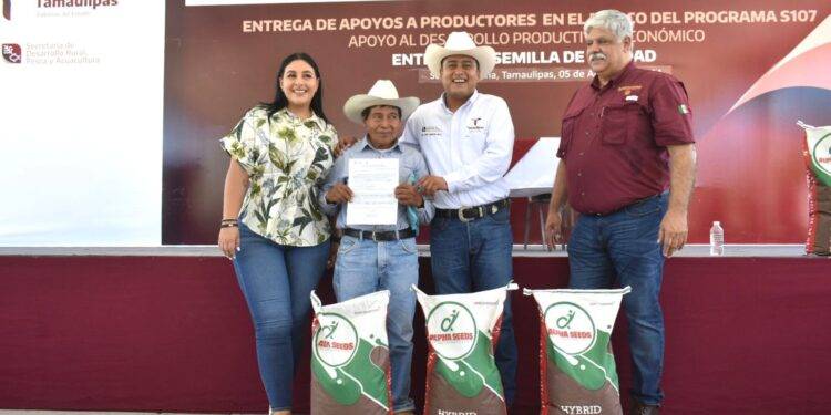 Reciben productores agrícolas de Soto la Marina semilla de sorgo y maíz