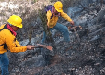 Capacita SMA en prevención y combate de incendios forestales en Coahuila