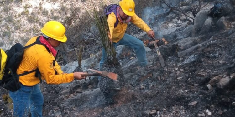 Capacita SMA en prevención y combate de incendios forestales en Coahuila