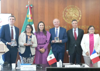 Participa Cecilia Guadiana en reunión de Grupo de Amistad Francia-México- Países de Centroamérica