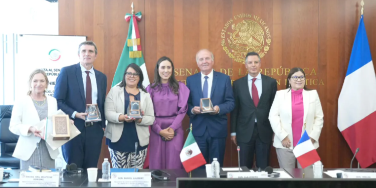 Participa Cecilia Guadiana en reunión de Grupo de Amistad Francia-México- Países de Centroamérica