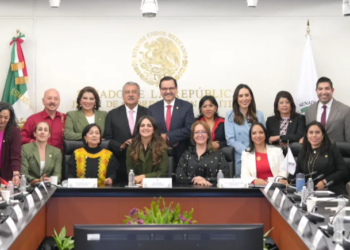 Participa Cecilia Guadiana en la Instalación de la Comisión de Bienestar en el Senado de la República