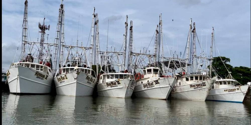 Es flota camaronera tamaulipeca, la más grande del Golfo de México