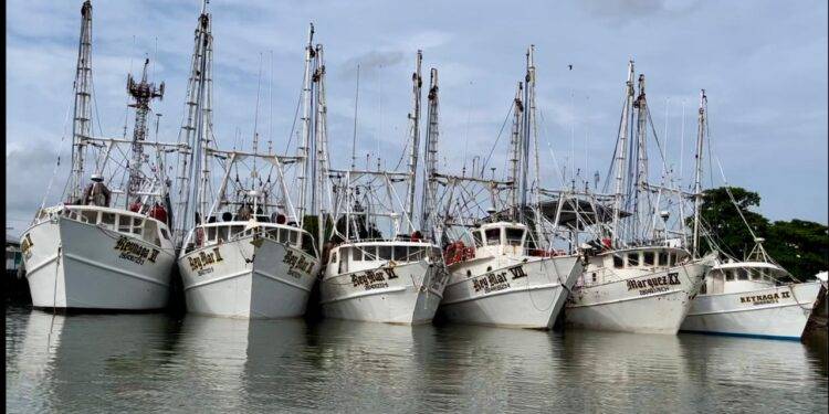 Es flota camaronera tamaulipeca, la más grande del Golfo de México